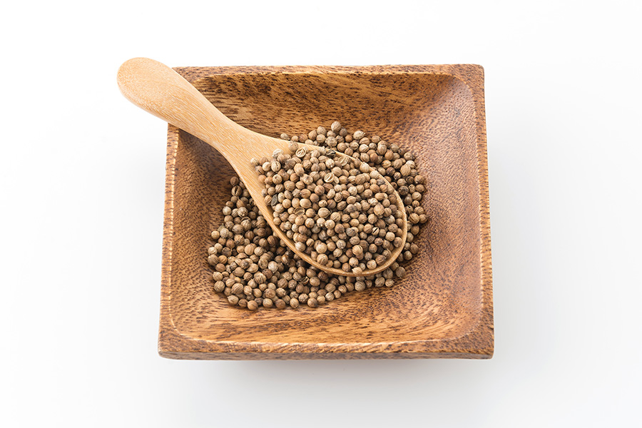 Coriander 