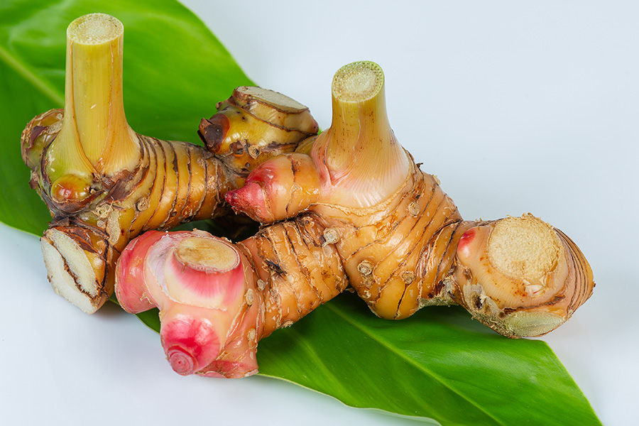 Galangal