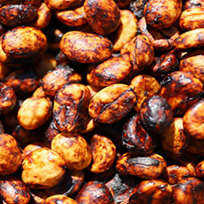 Honey Coffee Bean 