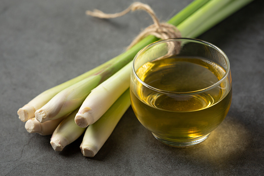 Lemon Grass